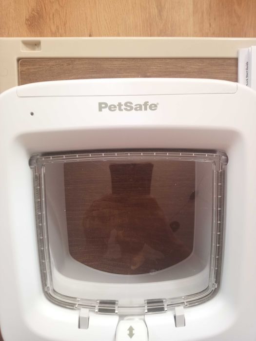 Drzwiczki magnetyczne dla kota