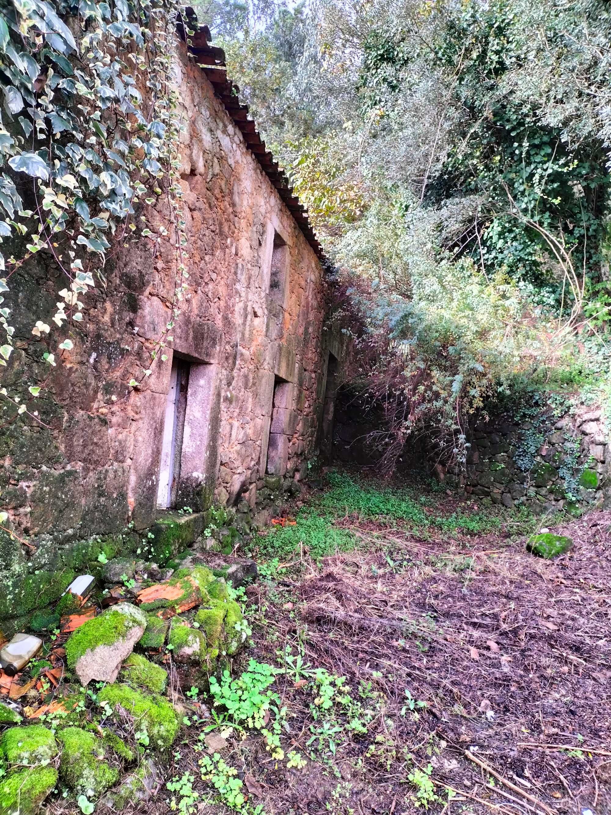 casa muito antiga e charmosa com luz e água