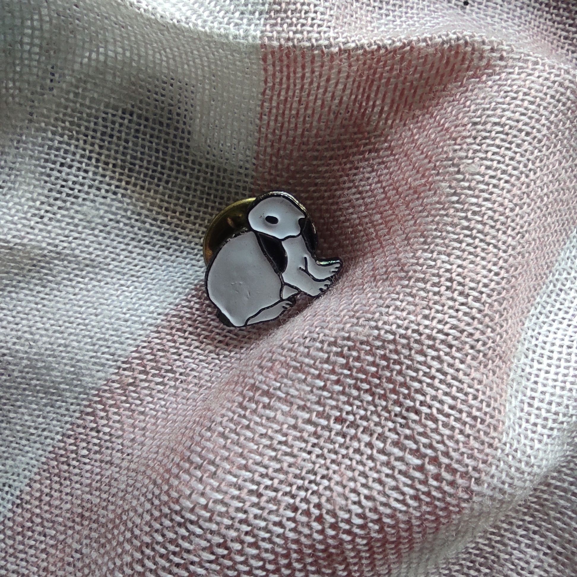 Pin wpinka broszka królik króliczek.