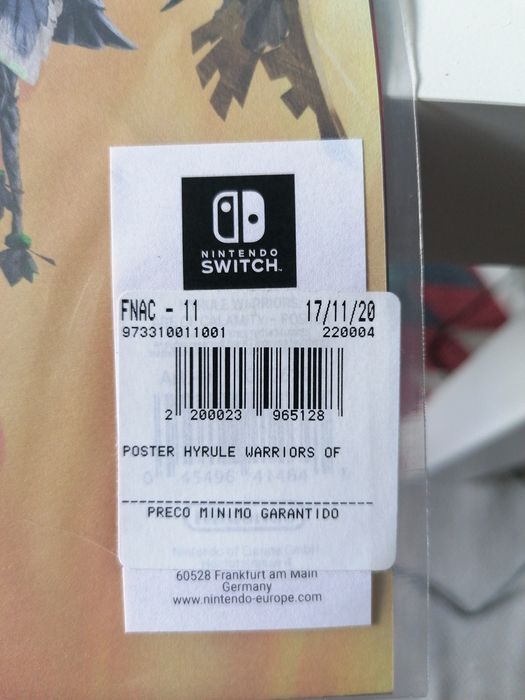 Poster Zelda Hyrule Warriors Nintendo Switch