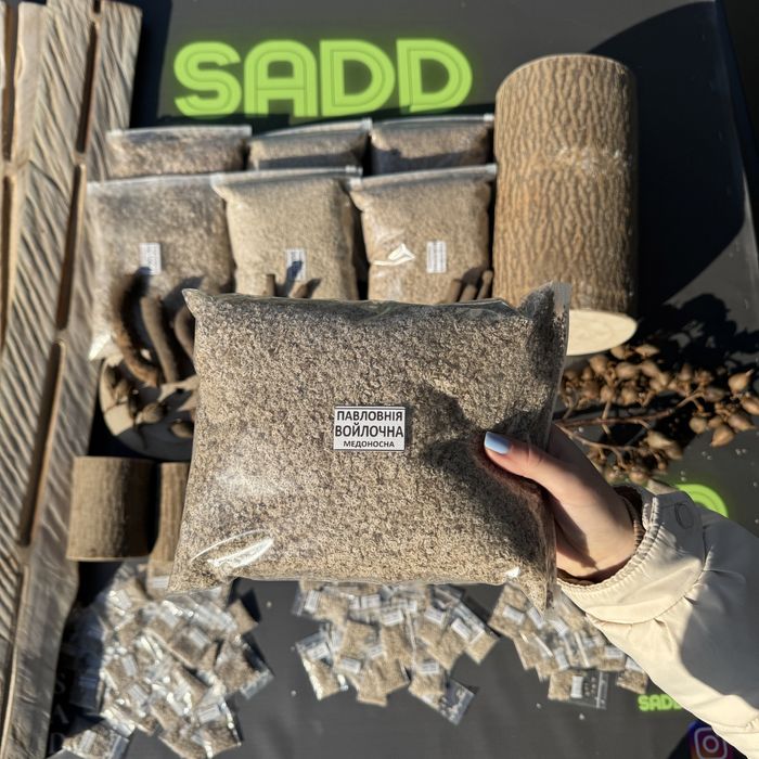 Насіння Войлочної уп. 200 шт, Семена Павловнии, Павловния розпродаж