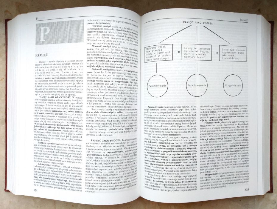 "Encyklopedia pedagogiczna" pod red. Wojciecha Pomykało