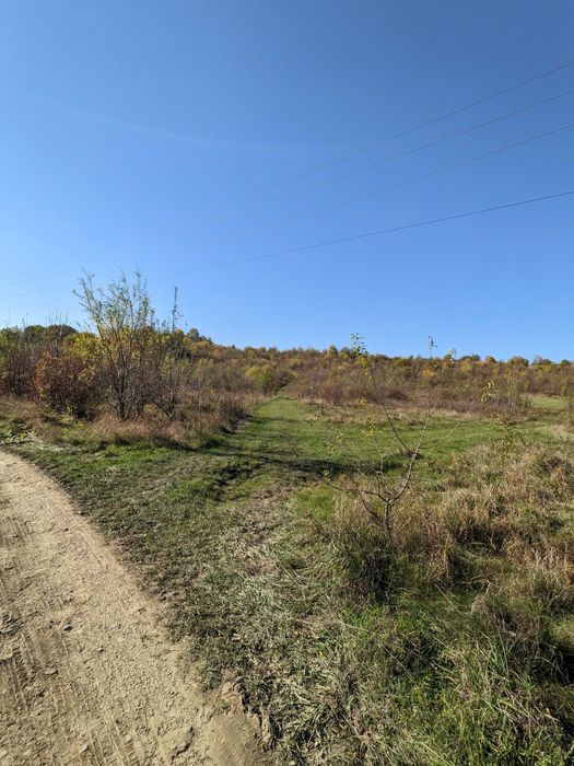 Земельна ділянка 15 сот Ст. Лисець, вул. Шевченка, під забудову (4)