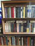 Чешские книжные полки