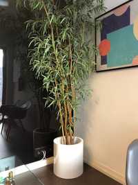 Bambu artificial com vaso branco brilhante.