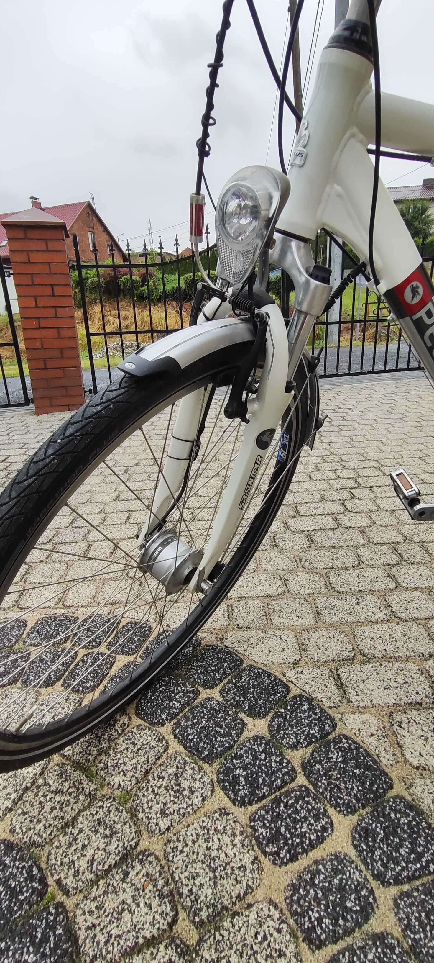Rowery Pegasus damski i męski