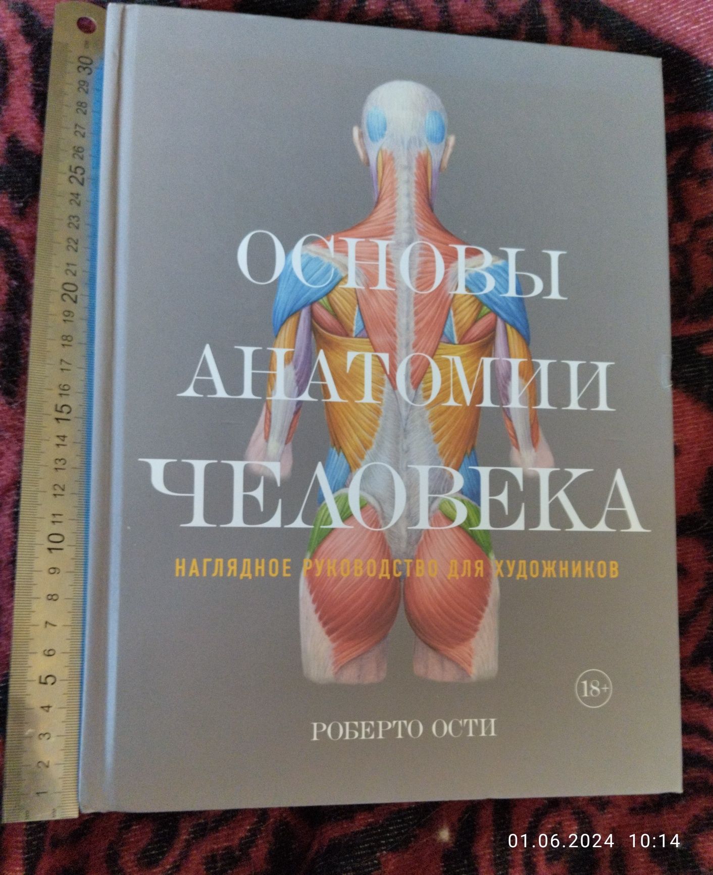 Наглядное руководство для художников Роберто Ости