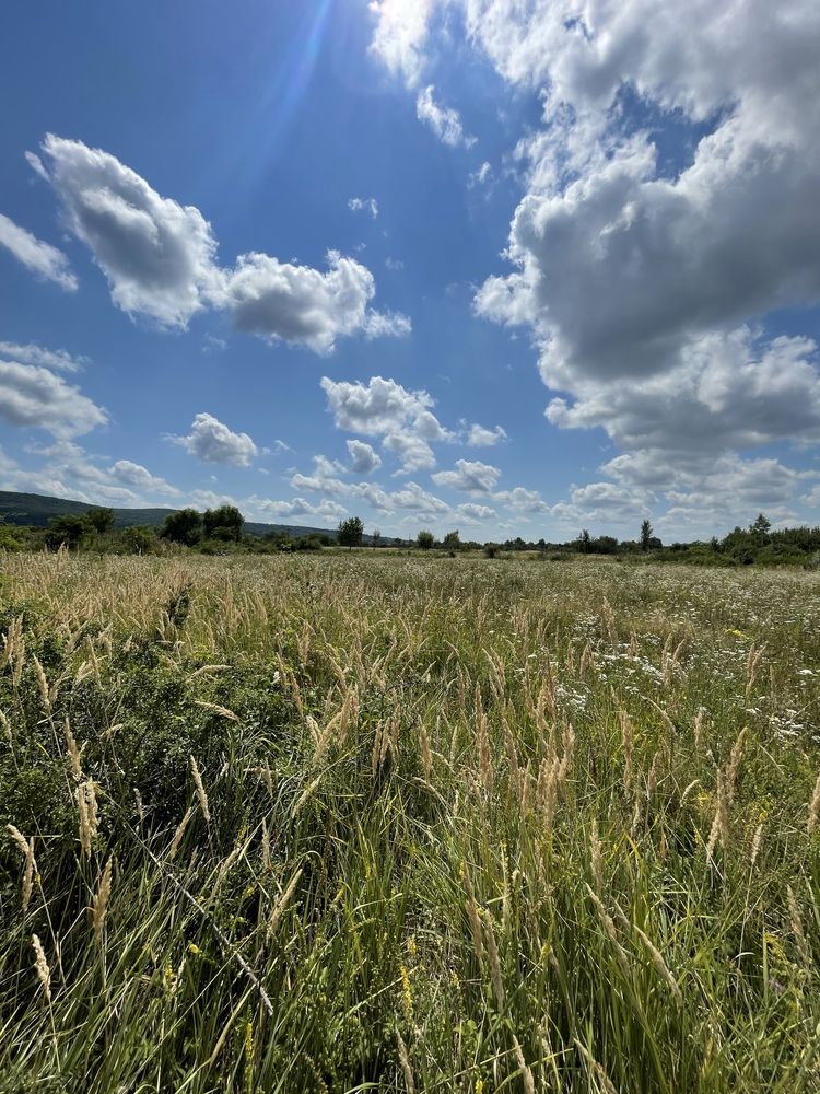 Продаж ділянки Оноківці