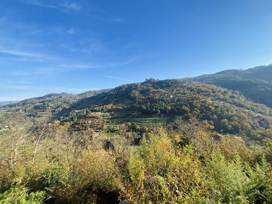 Quinta no Douro, Cinfães