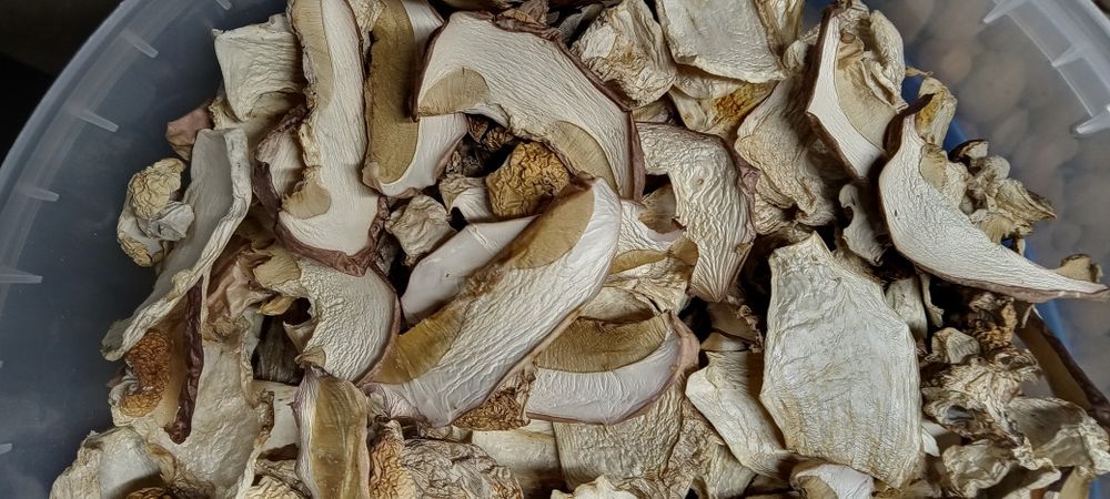 Білі сушені гриби