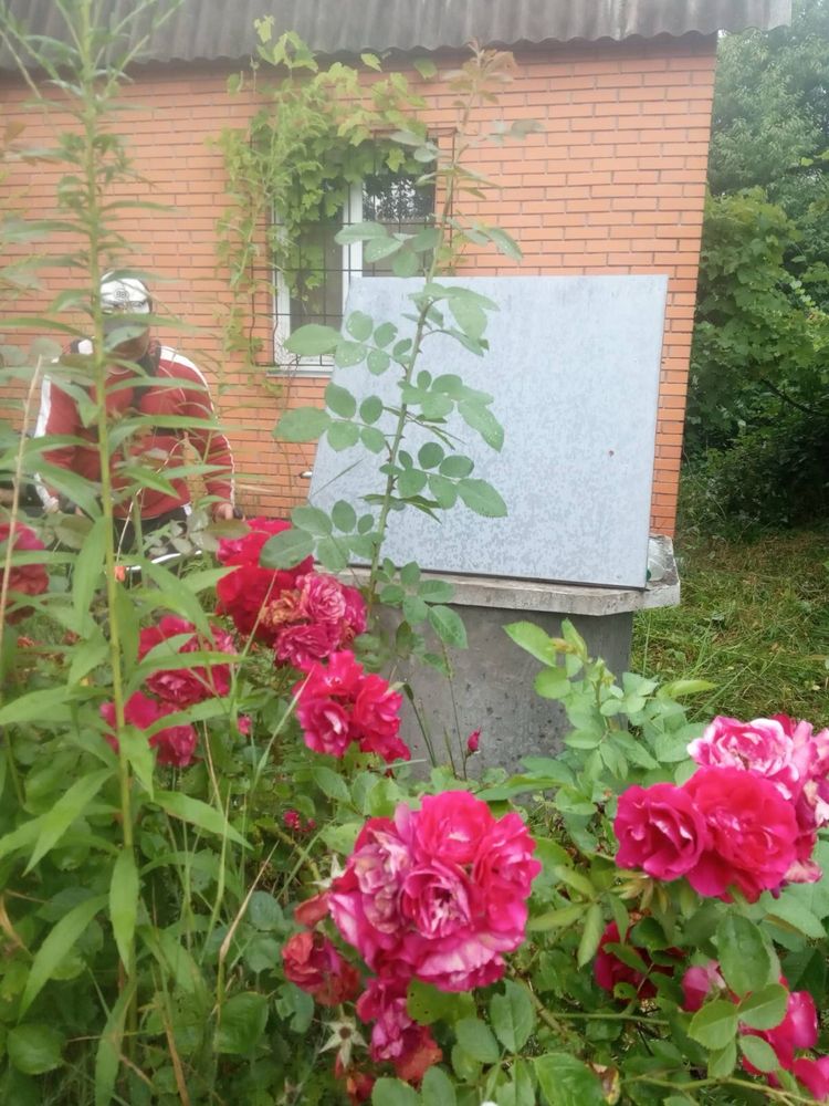 Продаж дачного будинка в Мотовилівці