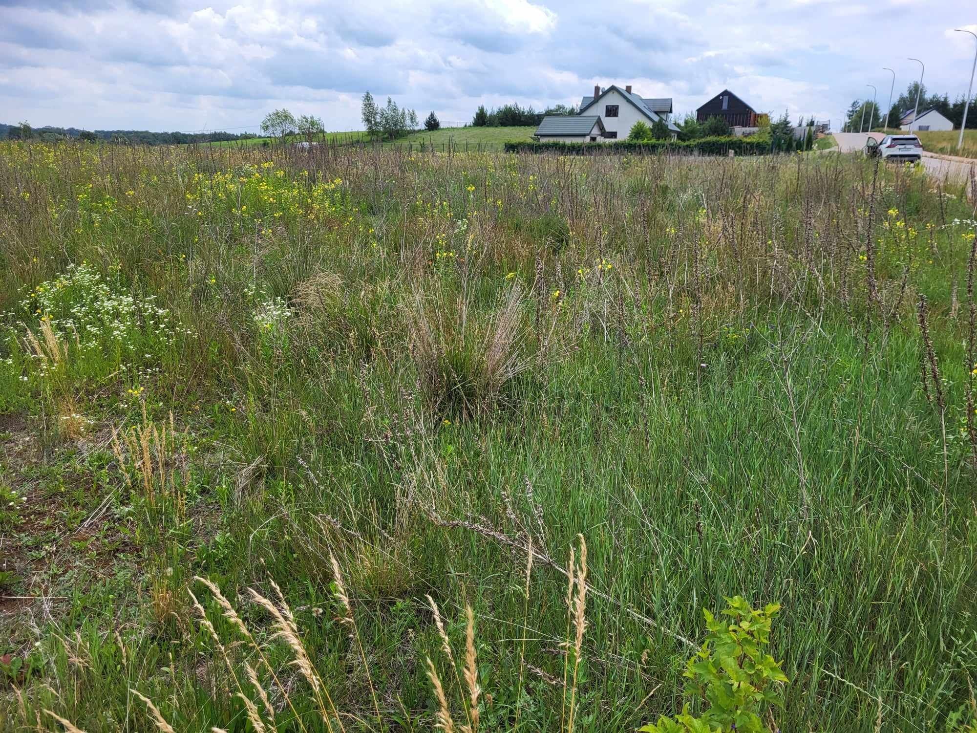 Działka budowlana Okuniowiec k.Suwałk 1480m2.