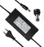 Ładowarka YZPOWER do skutera 42 V 5 A