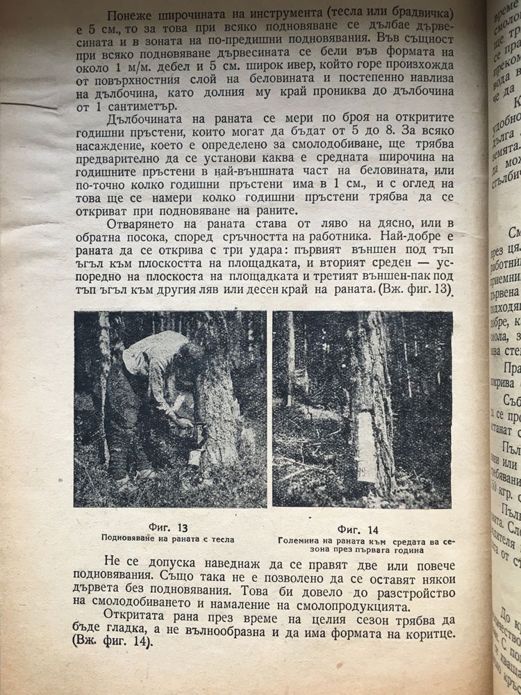 Żywicowanie leśnictwo zestaw trzech książek