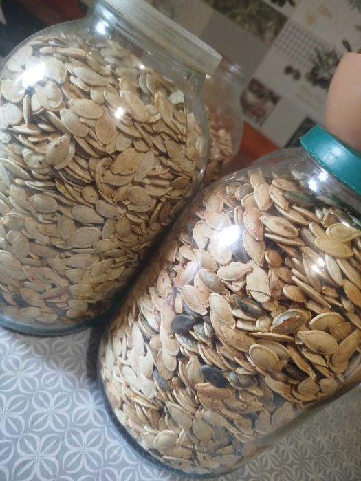 Продам смажене гарбузове насіння