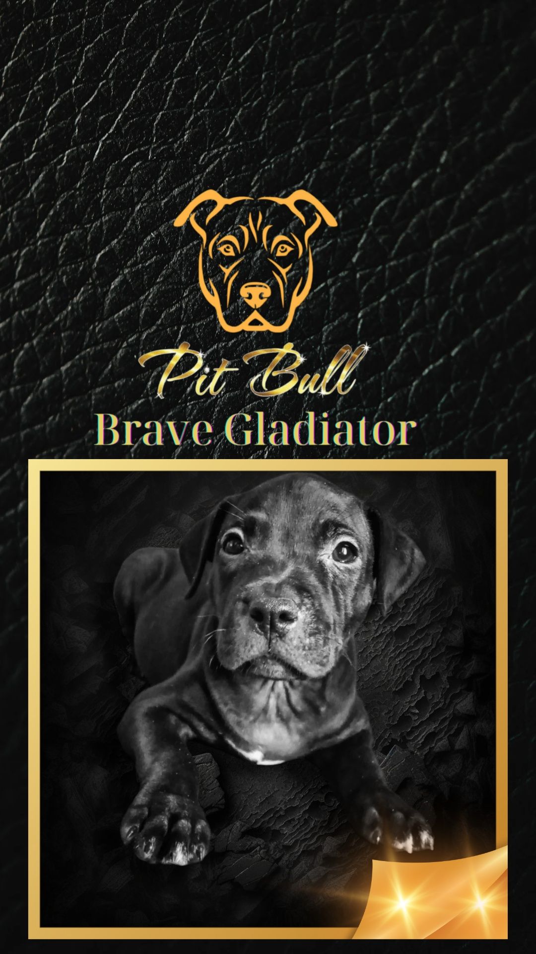 Чорні перлини АПБТ Brave Gladiator Ua