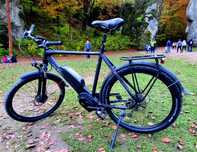Rower elektryczny Shimano Steps 250W, rozmiar L / XL