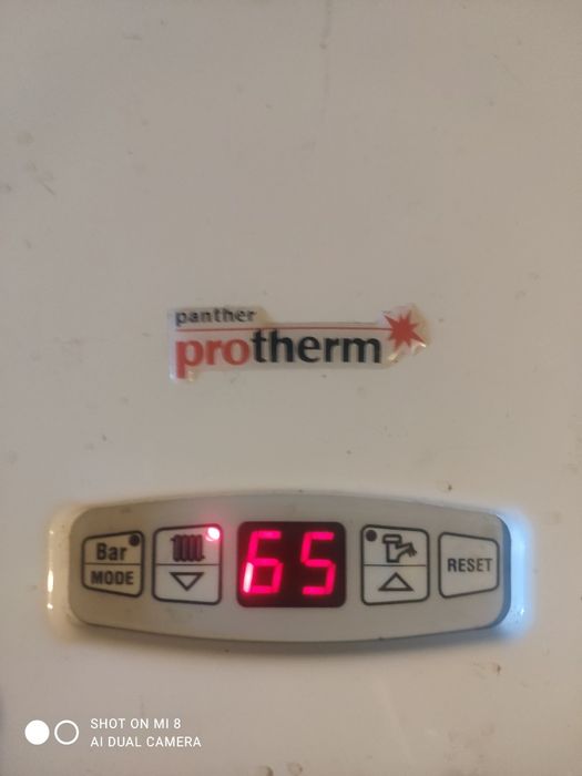 Газовий  котел Protherm PANTHER
