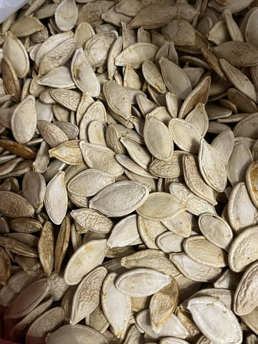 Насіння гарбуза сушене та смажене/ Семечки тыквенные /квасоля