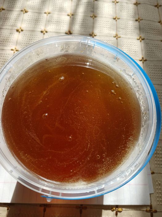 Свіжий мед, 2025 р.