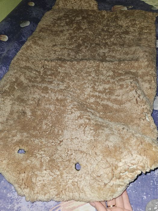 Хутро в автомобіль