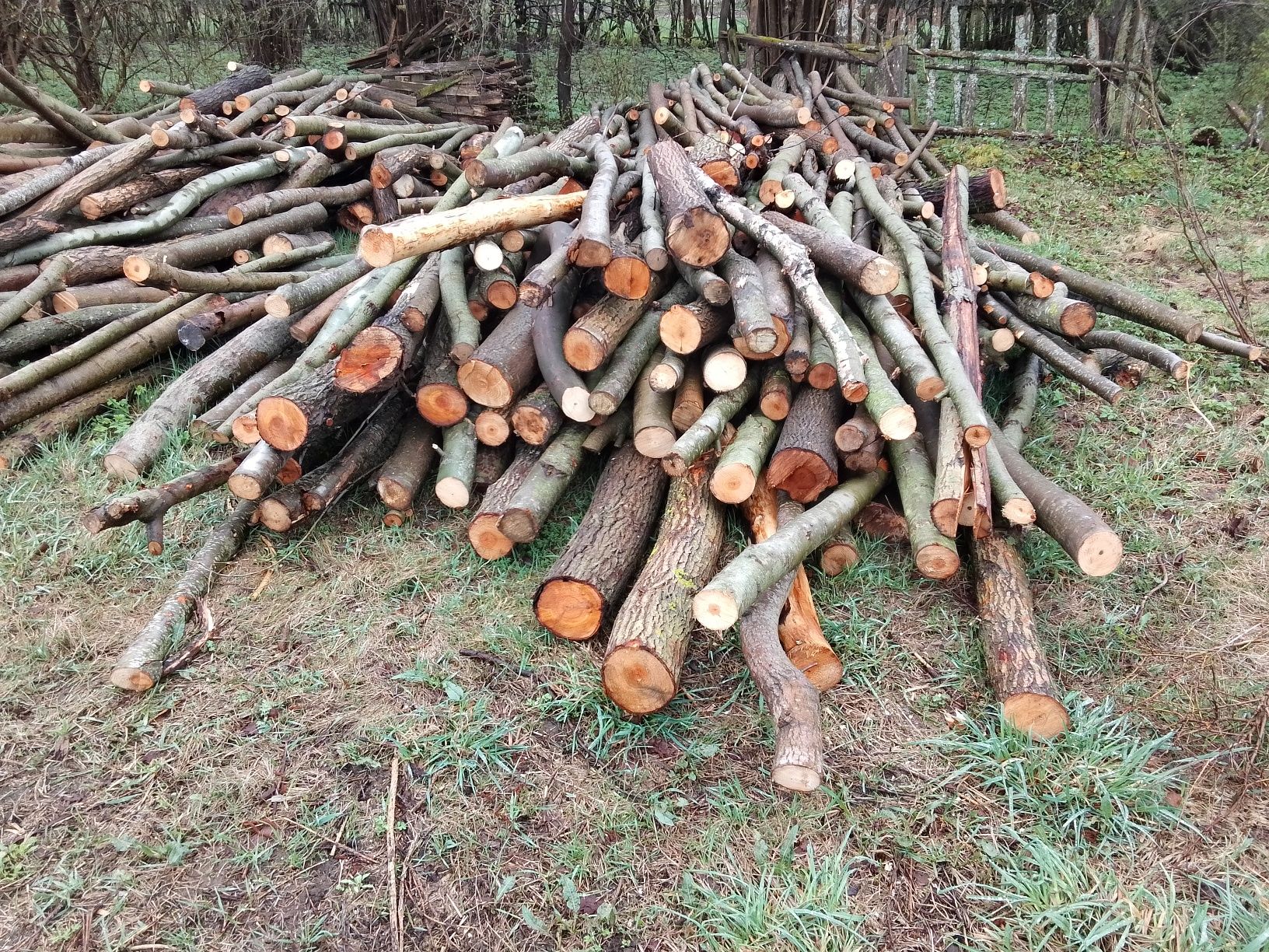 Drewno,drzewo, opał,olcha, wędzonka, wędzenia.