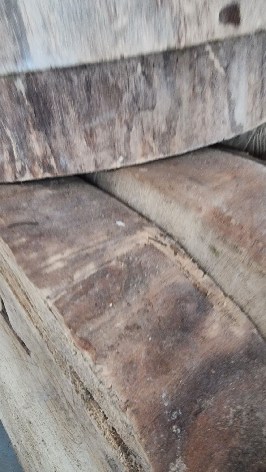 Продам спилы слеб срез основа для стола заготовка ясень