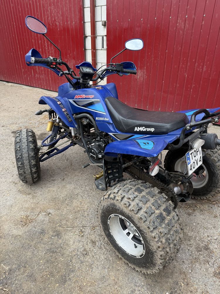 Quad Bashan BS250S-One