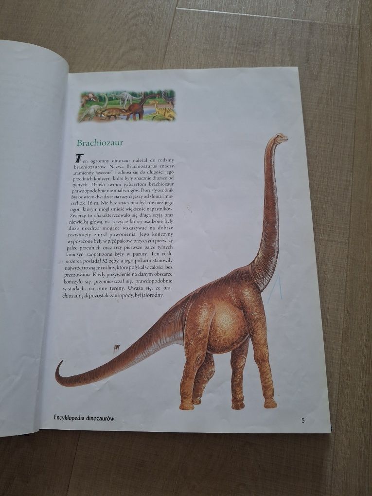 Encyklopedia Dinozaurów