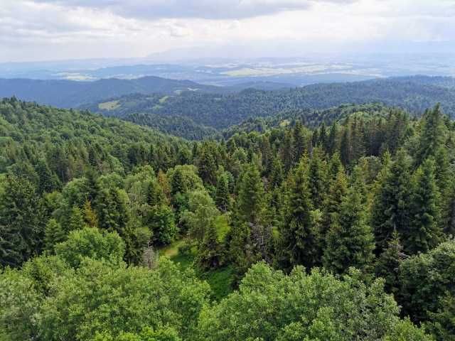 Noclegi Ochotnica Górna