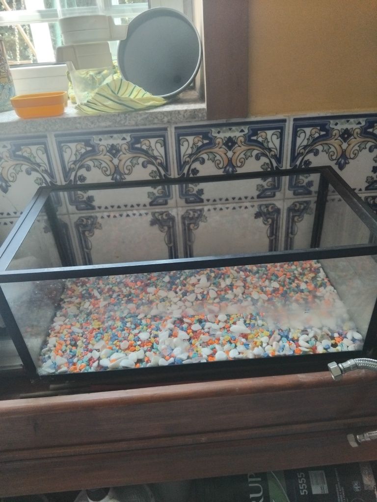 Aquário de vidro para peixes