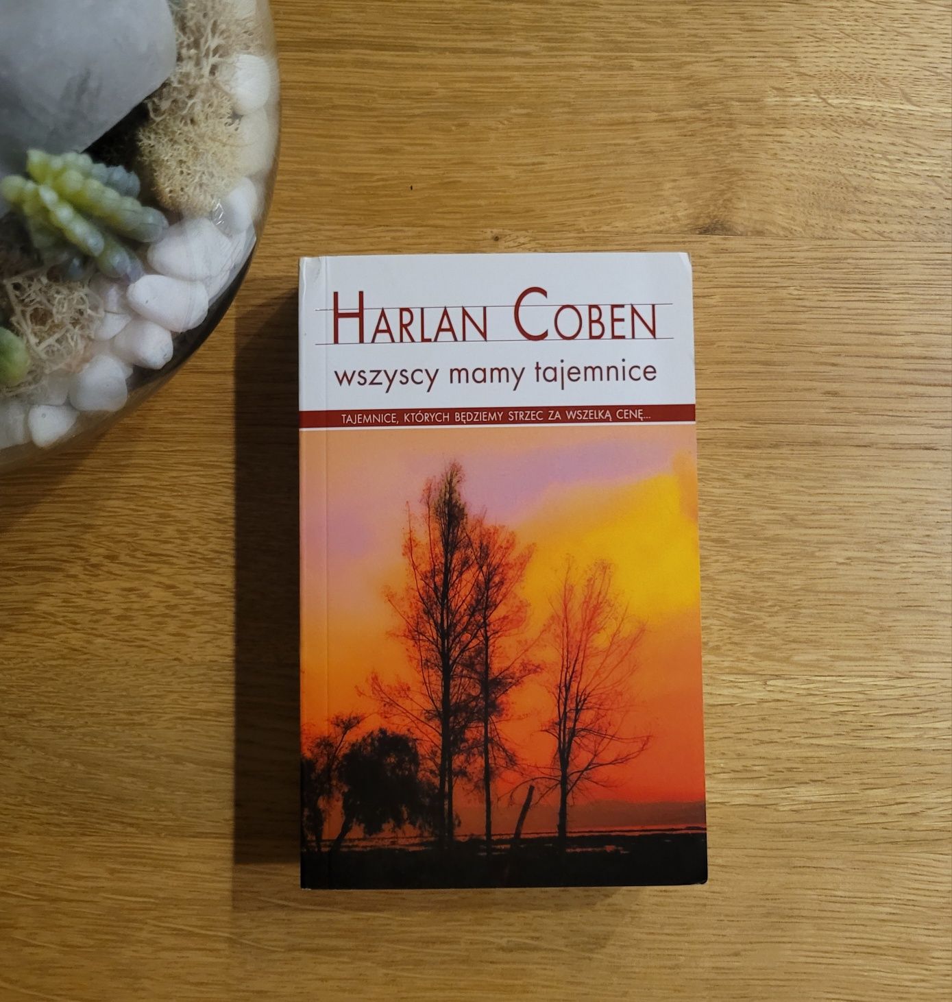 Wszyscy mamy tajemnice - Harlan Coben