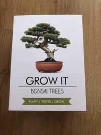 Drzewko Bonsai do sadzenia