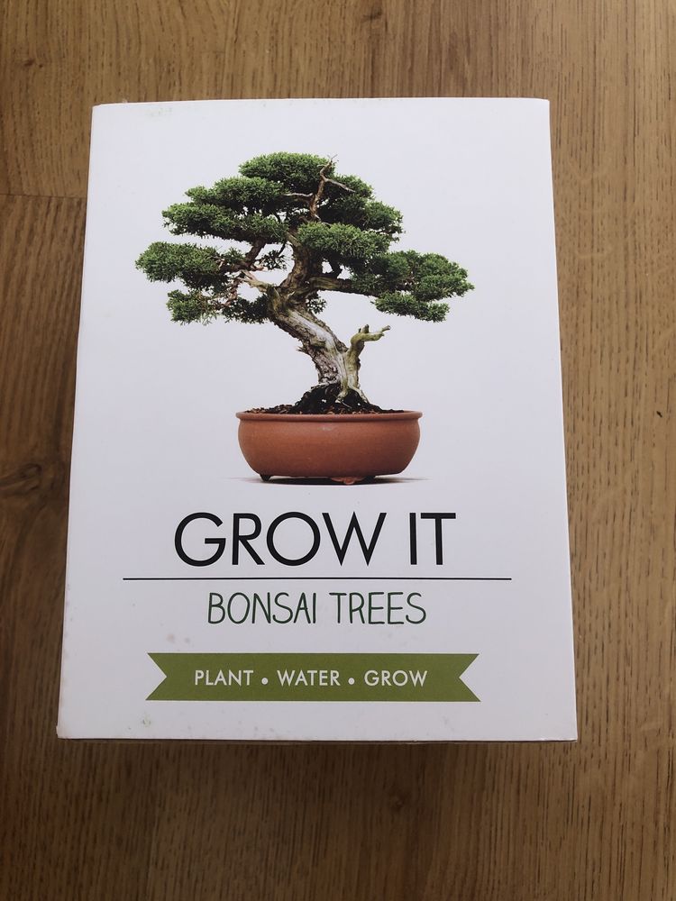 Drzewko Bonsai do sadzenia