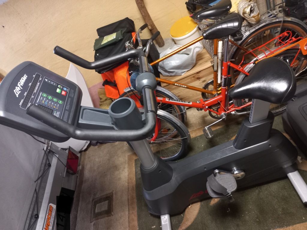 Rower pionowy Life Fitness technogym