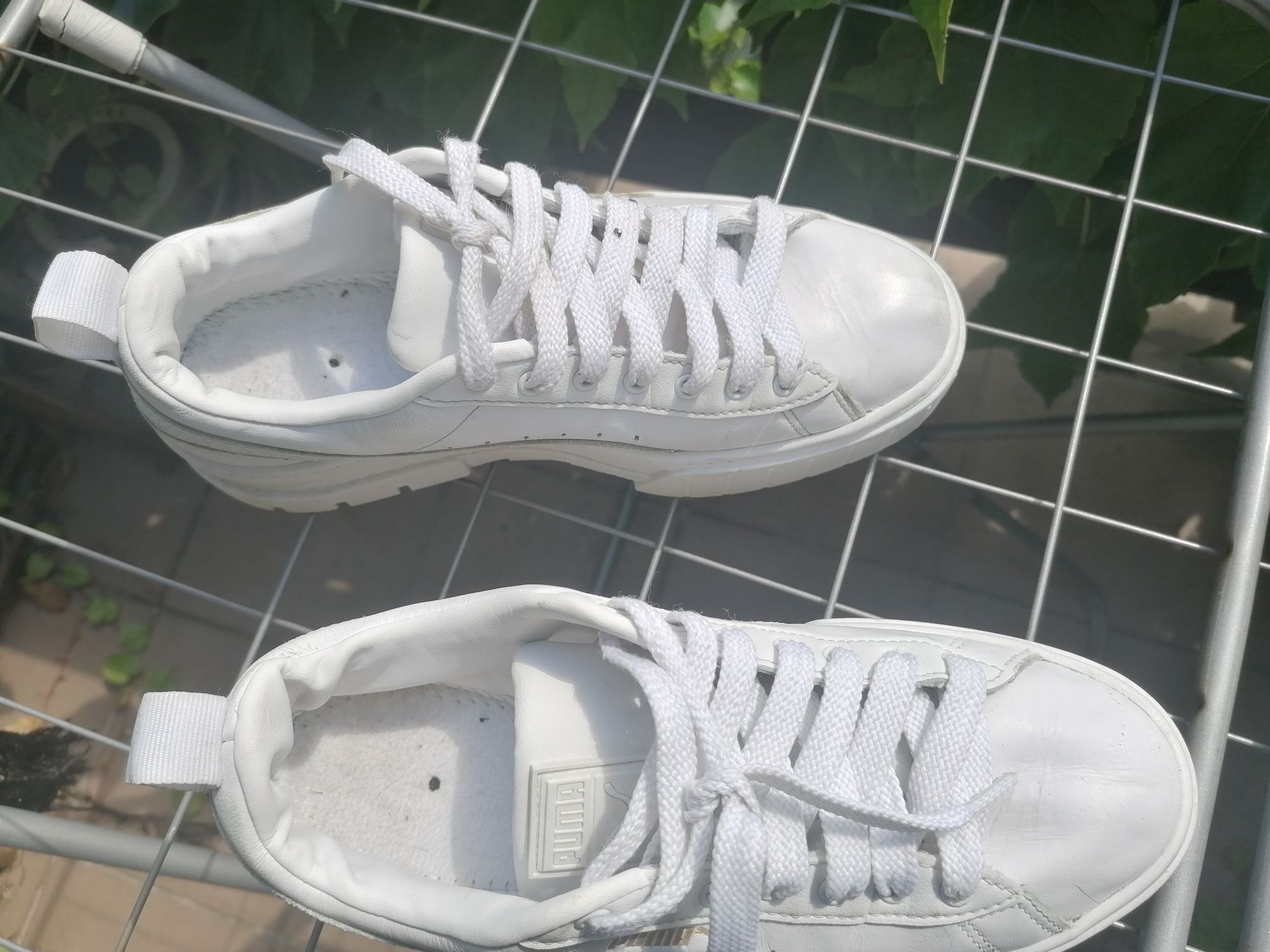 Buty damskie  Puma skóra 38 wroclaw