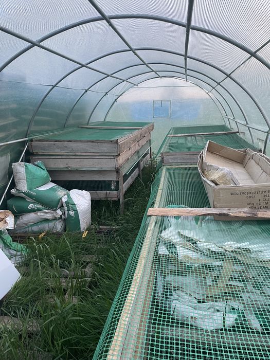 Sprzęt paśniki skrzynki stoły do hodowli ślimaków