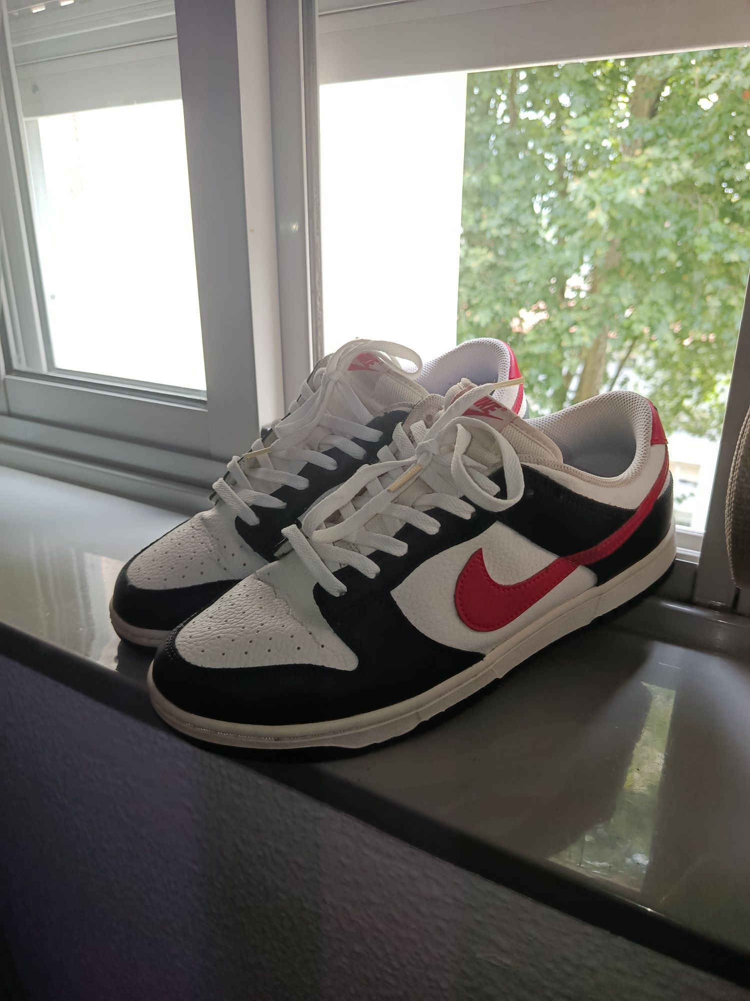 Nike Dunks novos