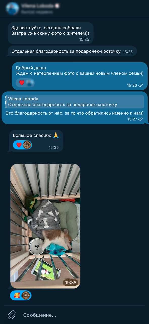 Манеж для собак, вольєр у квартиру для вашого улюбленця