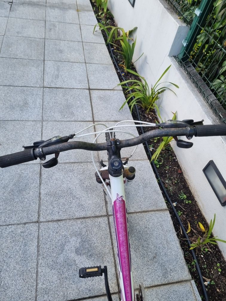 bicicleta colouer