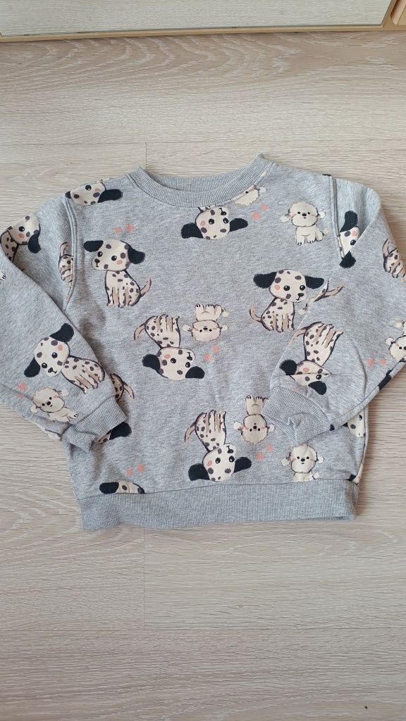 Bluza, pies, pieski, r.110-116 H&M