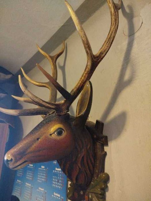 Głowa jelenia z porożem