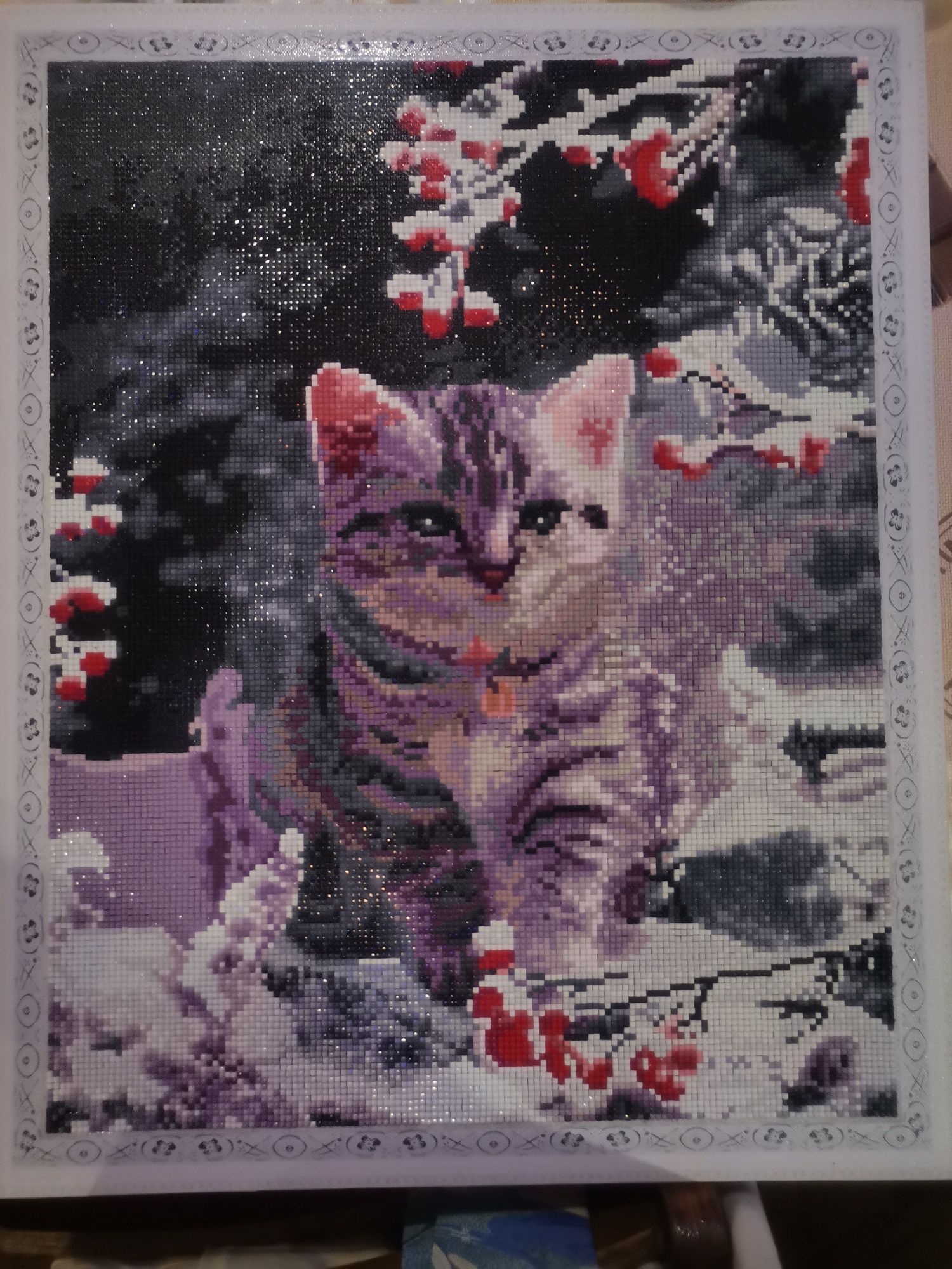 " Картина алмазная Котик"
