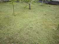 Покос травы Центр 120 грн Спил деревьев