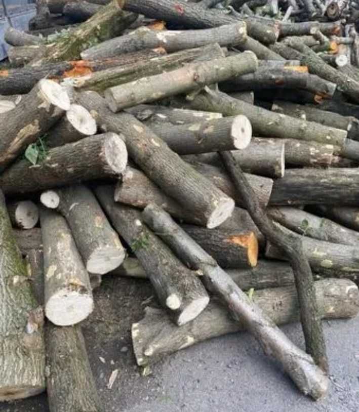 Продам дрова твердых пород  Каменское