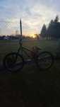 Ns bikes movment 3 z 2024