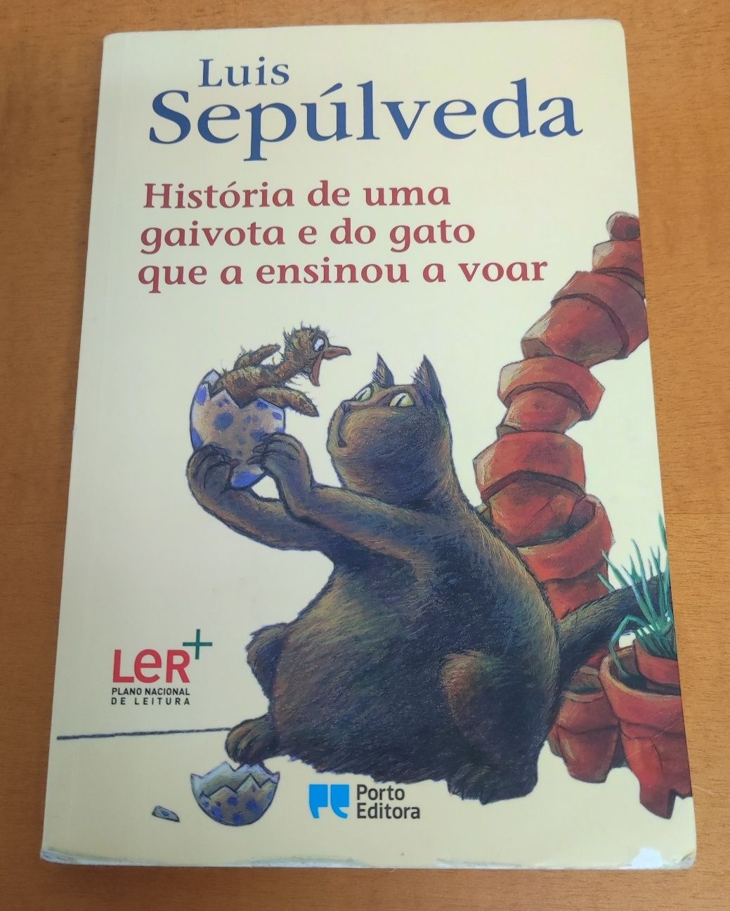 História de uma gaivota e do gato que a ensinou a voar