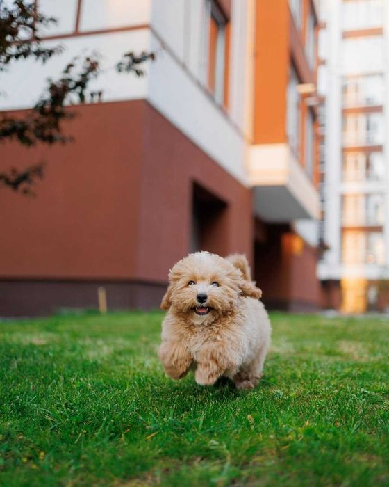 3-кімнатна у ЖК по вул.Коновальця, 10 хв до Центру!