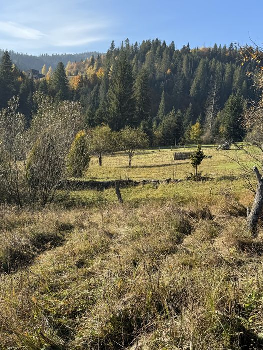 Ділянка Карпати,Микуличин.Земля в горах з газом