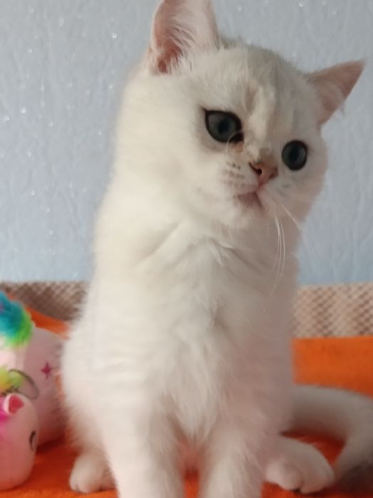 І буде Вам щастячко